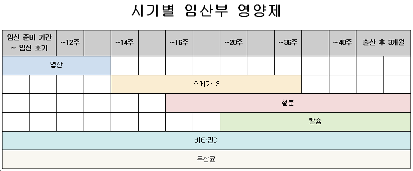 시기별 임산부영양제