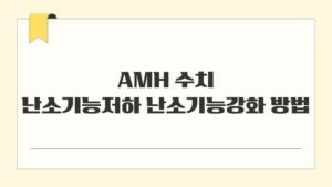 AMH 수치 난소기능저하 난소기능강화 방법